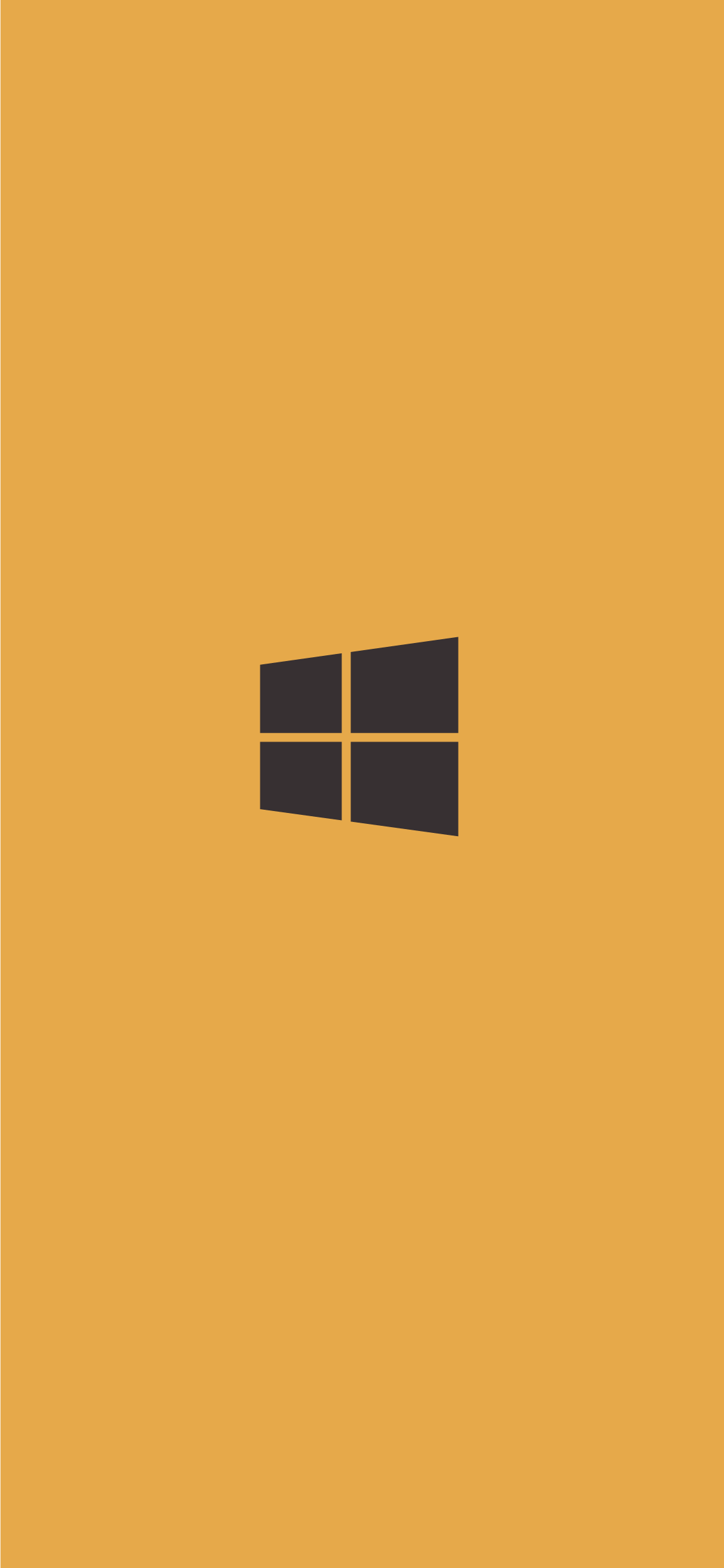 windows_yb